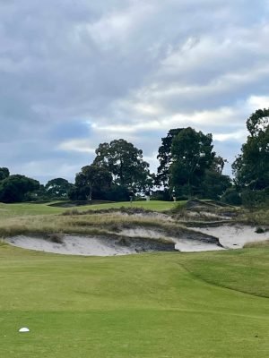 Kingston Heath