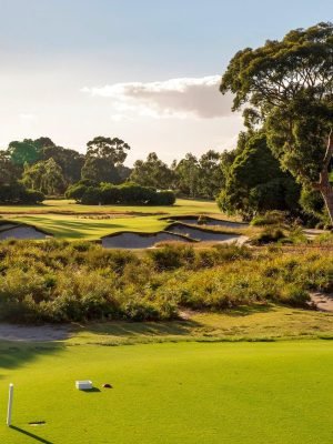 Kingston Heath