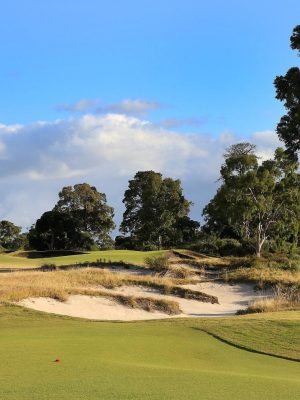 Kingston Heath