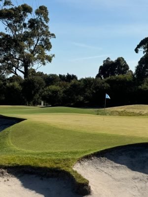 Kingston Heath