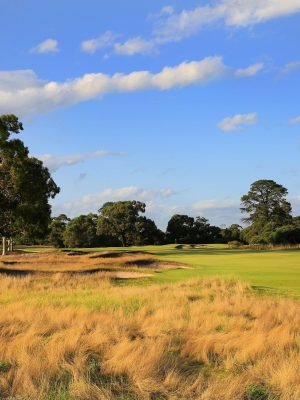 Kingston Heath