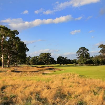 Kingston Heath