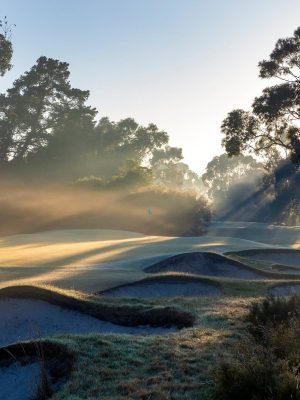 Kingston Heath