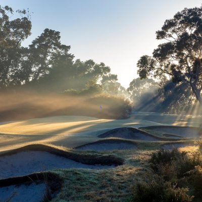 Kingston Heath
