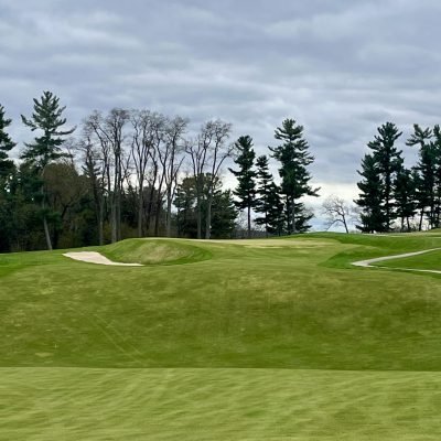 Lawsonia Links