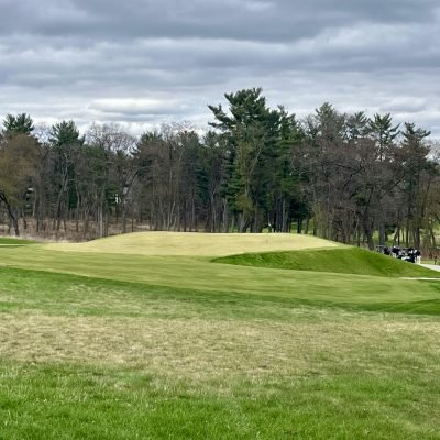 Lawsonia Links