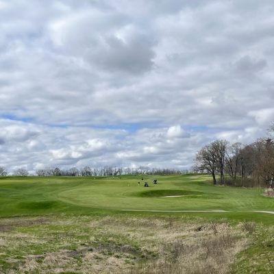 Lawsonia Links