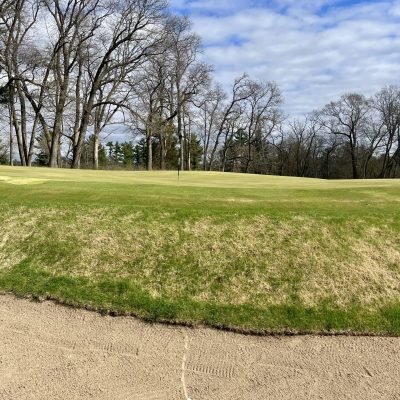Lawsonia Links