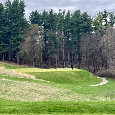 Lawsonia Links