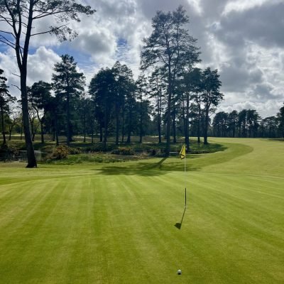 Liphook 07