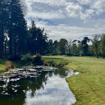 Liphook 08
