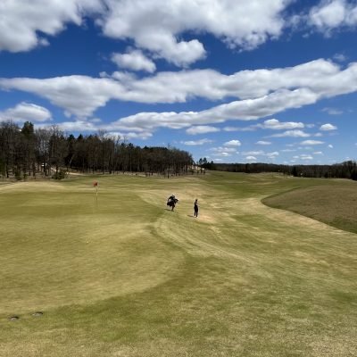 Mammoth Dunes