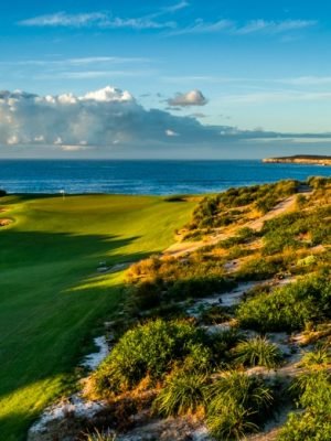 New South Wales