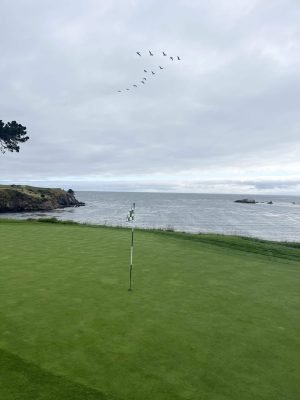 Pebble Beach, USA