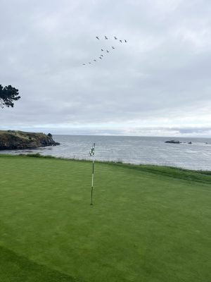 Pebble Beach, USA