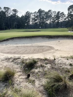 Pinehurst No2