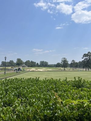 Pinehurst No2