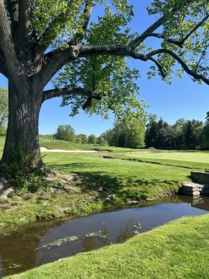 Quaker Ridge