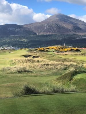 Royal County Down