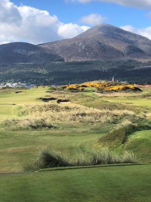 Royal County Down