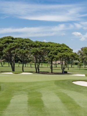 Sotogrande