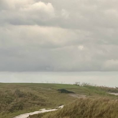 Streamsong Red 16
