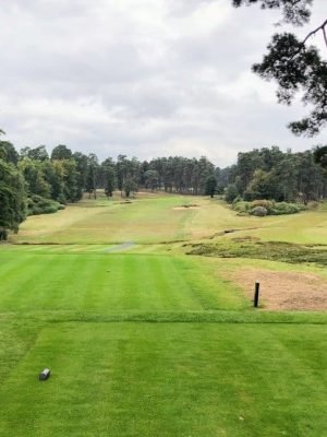 Swinley Forest