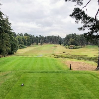 Swinley Forest