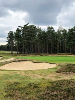 Swinley Forest
