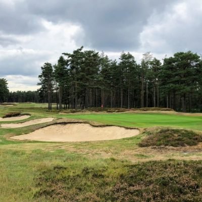 Swinley Forest