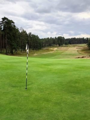 Swinley Forest