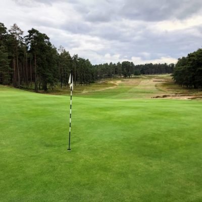 Swinley Forest