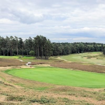 Swinley Forest