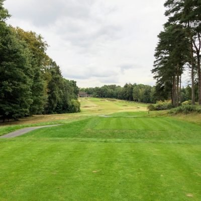 Swinley Forest