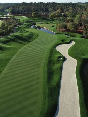 TPC Sawgrass