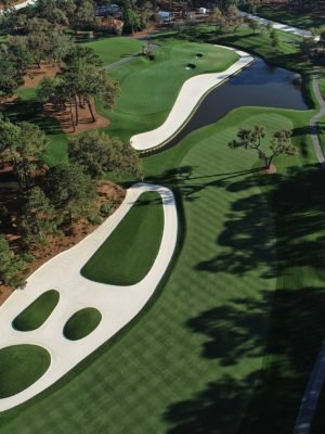 TPC Sawgrass