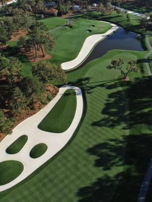 TPC Sawgrass