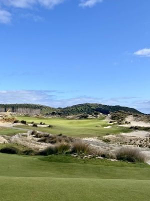 Te Arai North