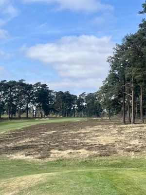 Worplesdon