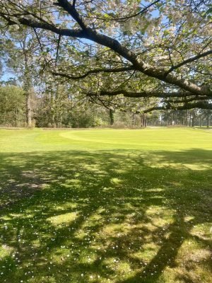 Worplesdon