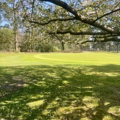 Worplesdon