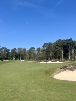 Worplesdon