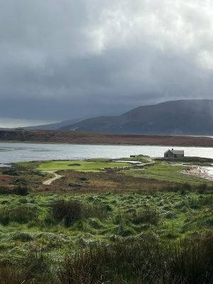 Ardfin