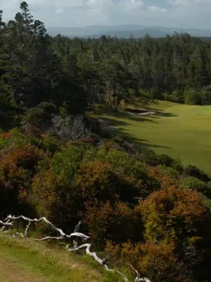 Bandon Trails