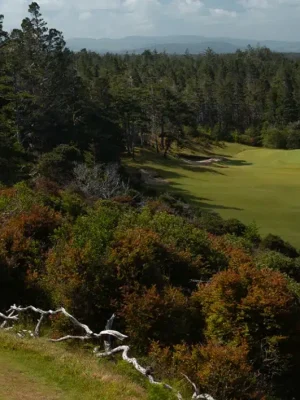 Bandon Trails