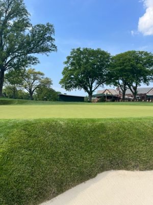oak hill
