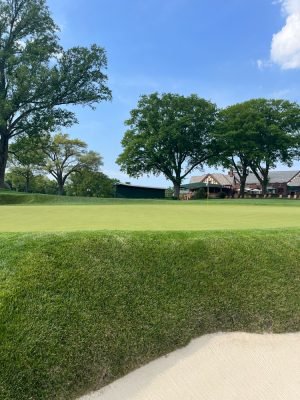 oak hill