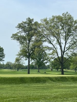 oak hill