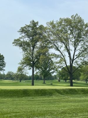 oak hill
