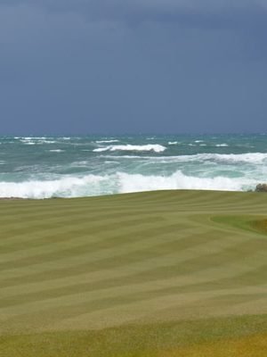 Ocean Dunes